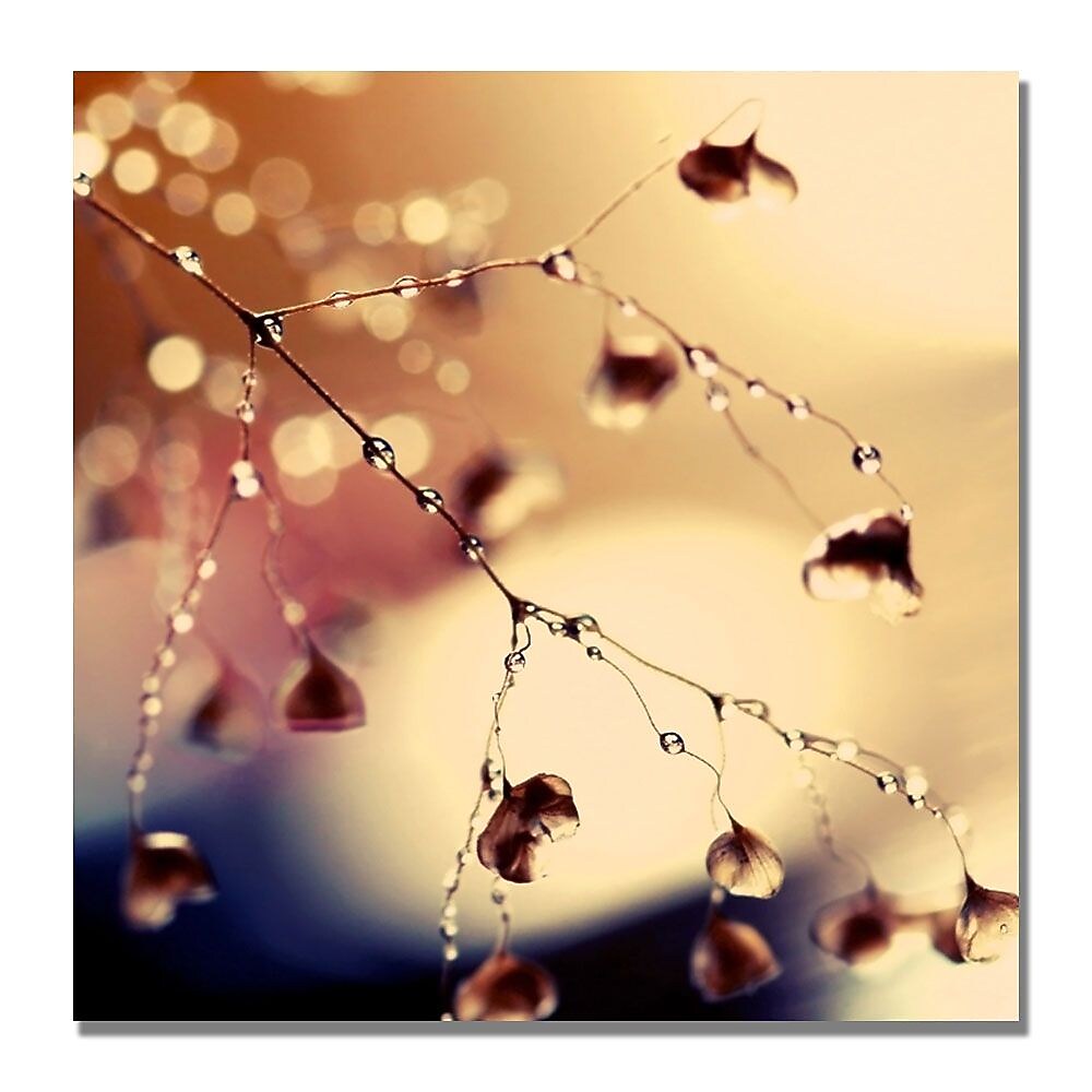 Trademark Fine Art Beata Czyzowska 'Summer Concert' Canvas Art 24x24 Inches
