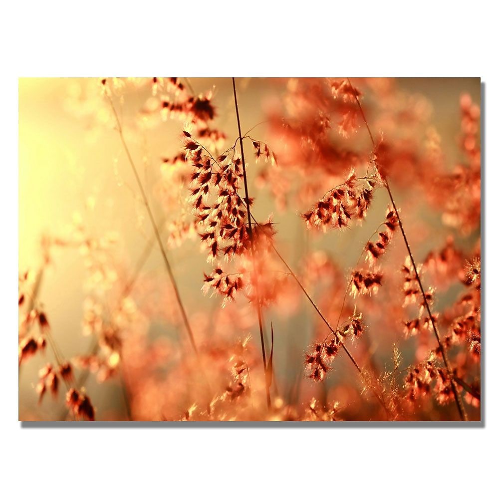 Trademark Fine Art Beata Czyzowska 'Sunset Conversations' Canvas Art 22x32 Inches