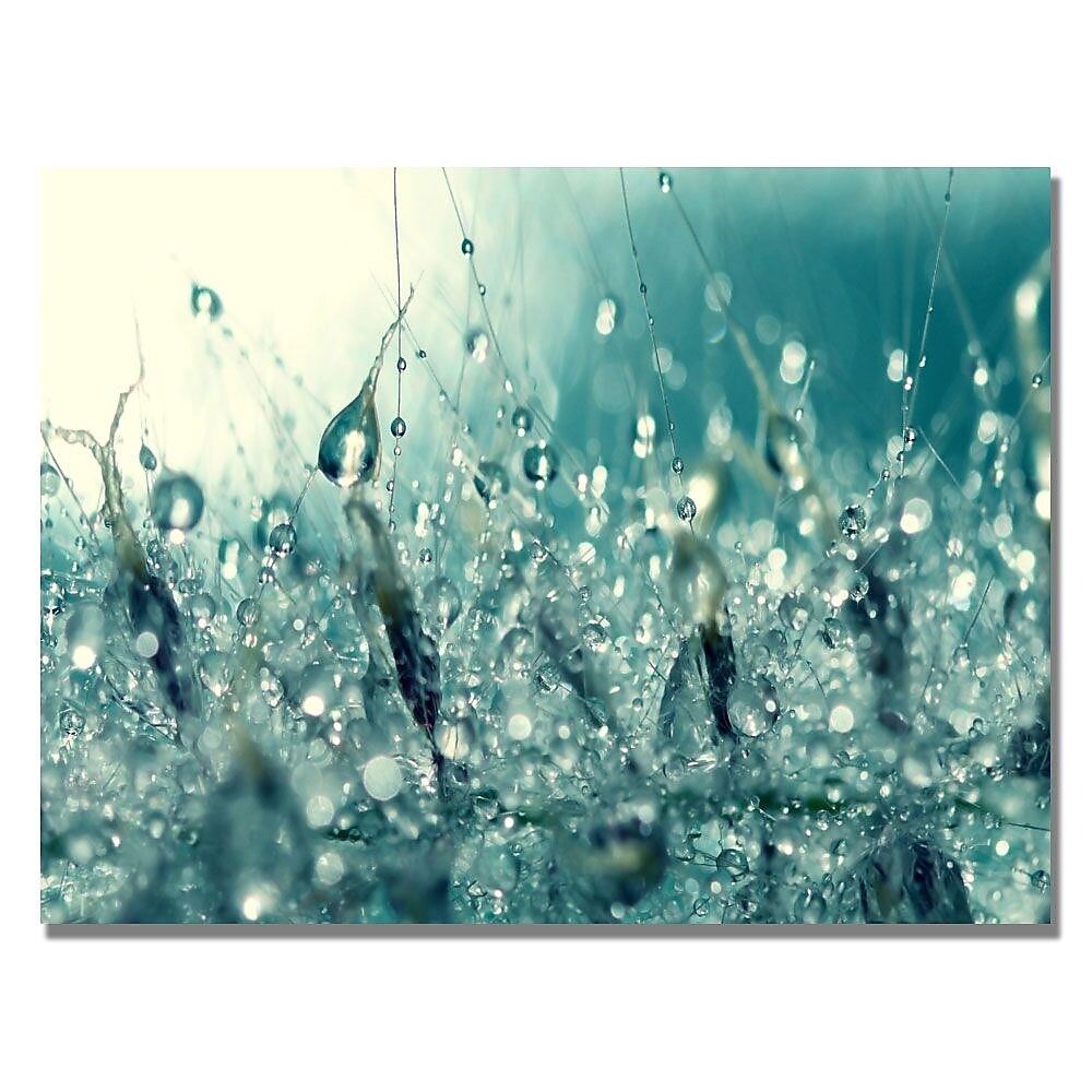 Trademark Fine Art Beata Czyzowska 'Under the Sea' Canvas Art 18x24 Inches