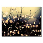 Trademark Fine Art Beata Czyzowska 'When Fairies Dance' Canvas Art