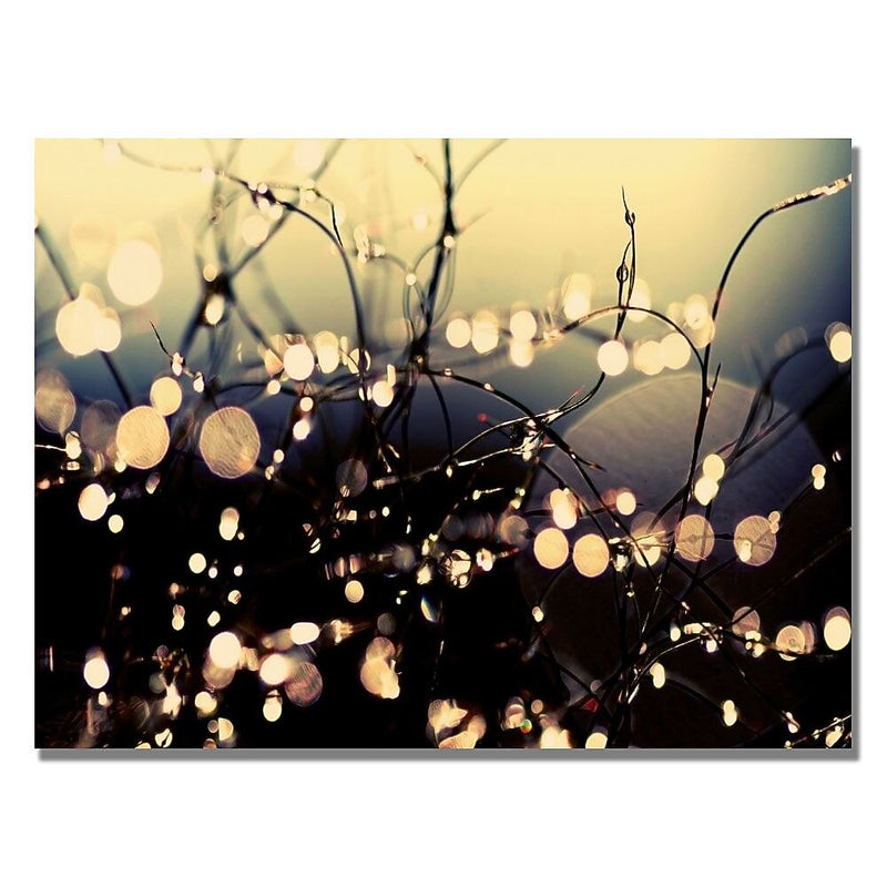 Trademark Fine Art Beata Czyzowska 'When Fairies Dance' Canvas Art