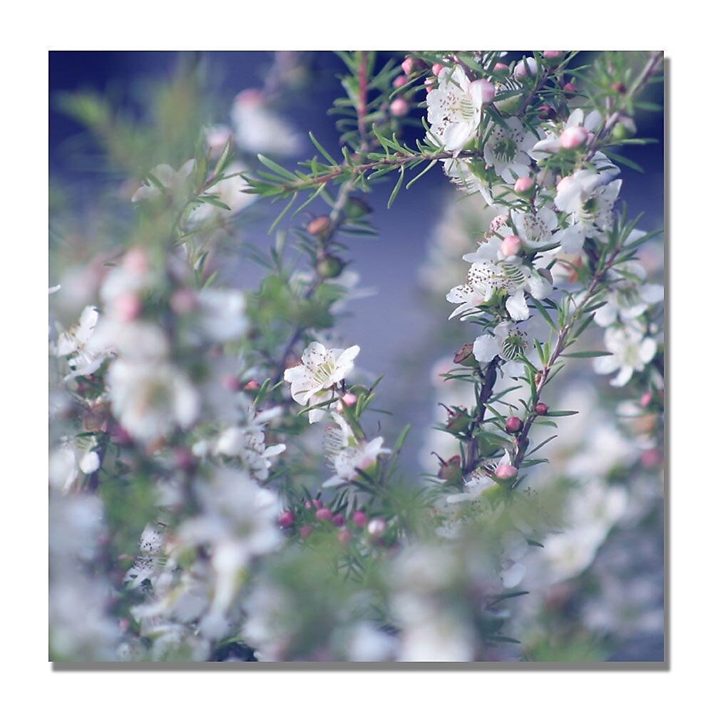 Trademark Fine Art Beata Czyzowska 'When Your in Her Garden' Canvas Art
