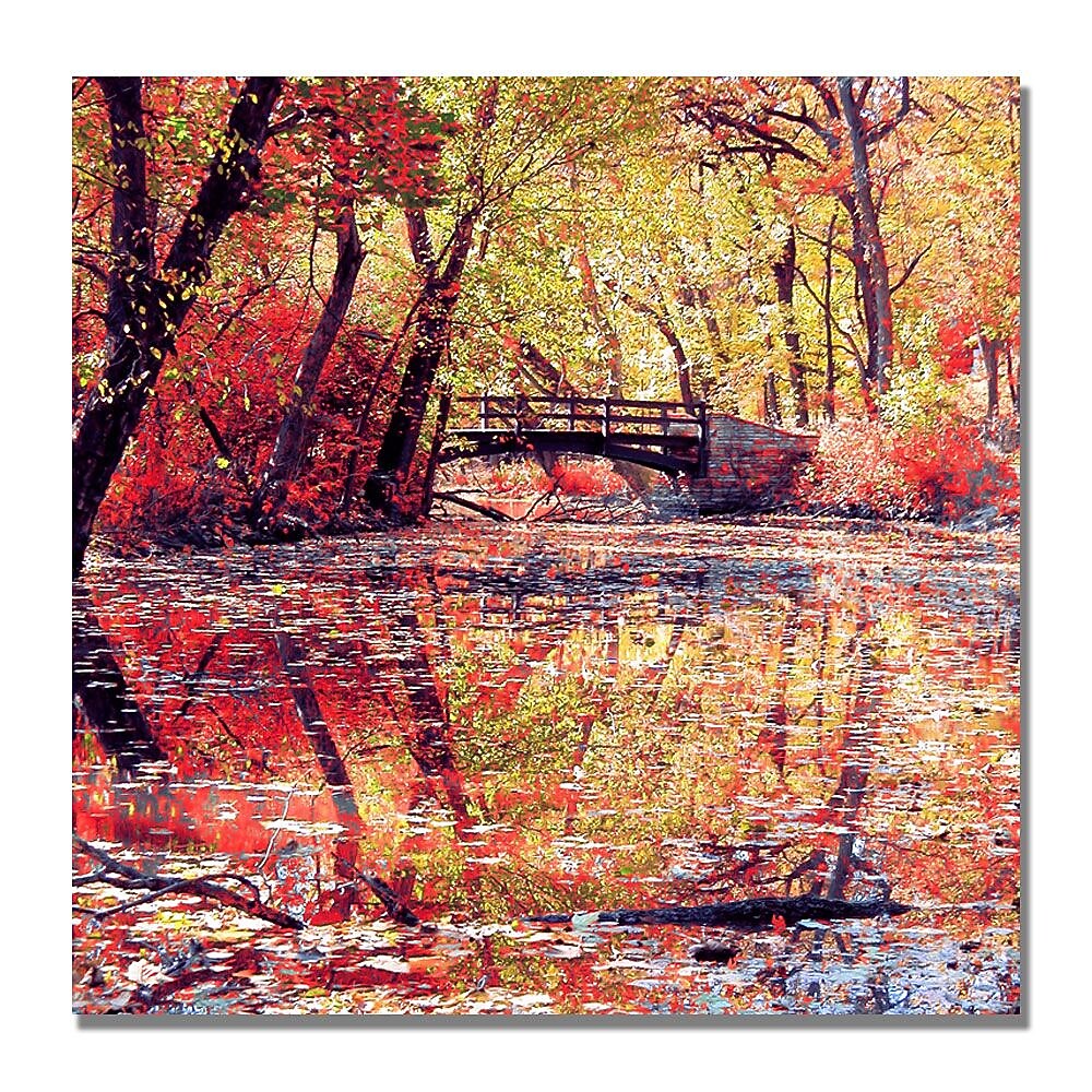 Trademark Fine Art Beata Czyzowska 'Monets Garden' Canvas Art