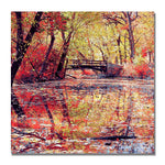Trademark Fine Art Beata Czyzowska 'Monets Garden' Canvas Art