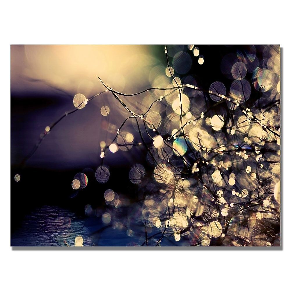 Trademark Fine Art Beata Czyzowska 'Fairies in my Garden' Canvas Art