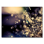 Trademark Fine Art Beata Czyzowska 'Fairies in my Garden' Canvas Art