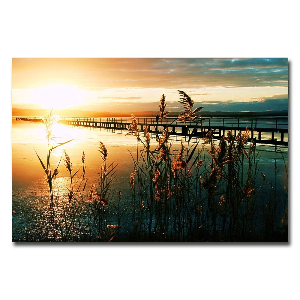 Trademark Fine Art Beata Czyzowska Young 'Wish You Were Here' Canvas Art 22x32 Inches