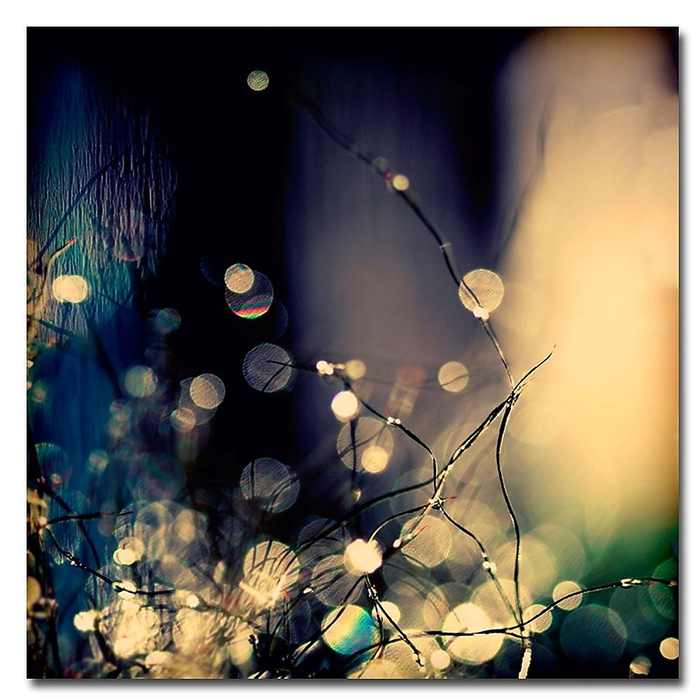Trademark Fine Art Beata Czyzowska 'Fairies at Nighttime' Canvas Art 35x35 Inches