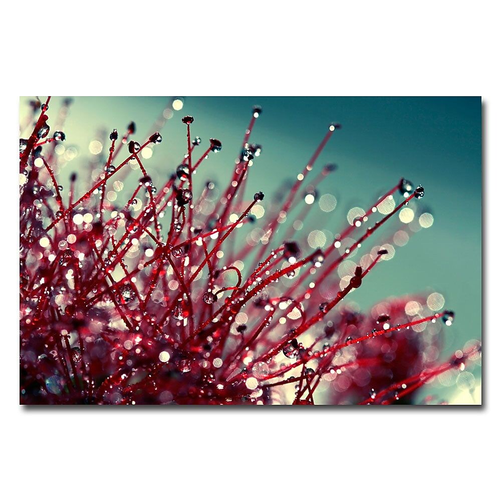 Trademark Fine Art Beata Czyzowska Young 'For you and me' Canvas Art 16x24 Inches