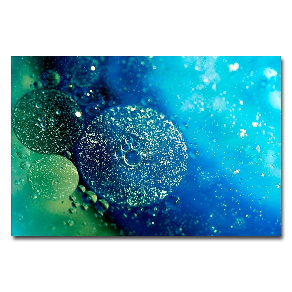 Trademark Fine Art Beata Czyzowska Young 'Imagine' Canvas Art 22x32 Inches