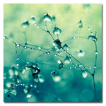 Trademark Fine Art Beata Czyzowska 'Spring Notes' Canvas Art 24x24 Inches