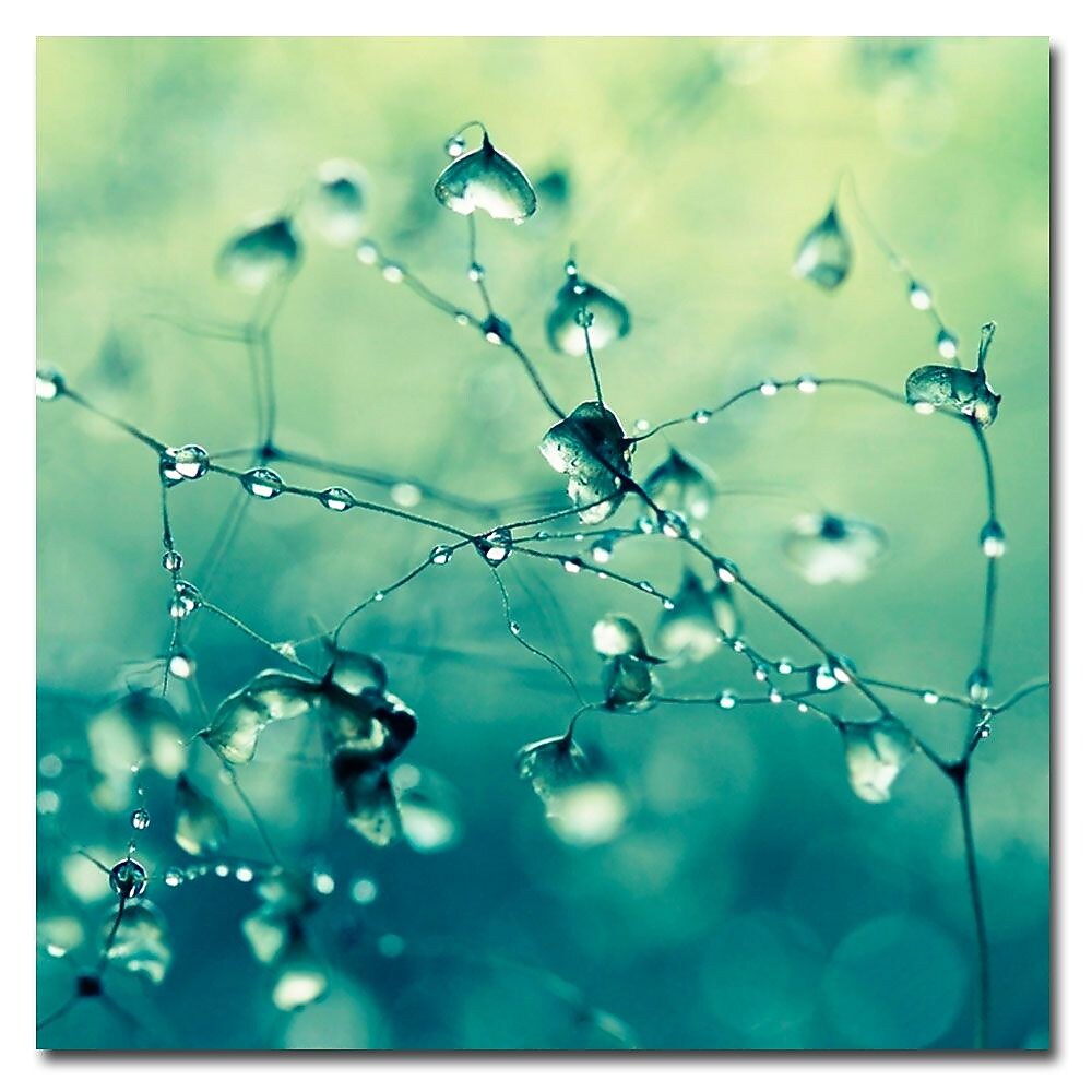 Trademark Fine Art Beata Czyzowska 'Spring Notes' Canvas Art 35x35 Inches