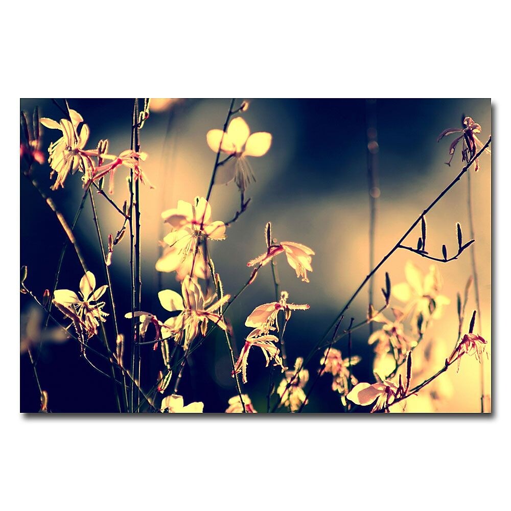 Trademark Fine Art Beata Czyzowska Young 'Sunshine in my Garden' Canvas Art 30x47 Inches