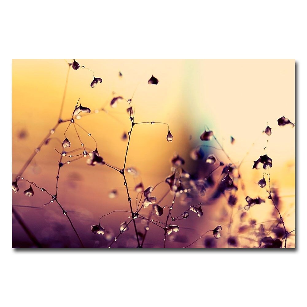 Trademark Fine Art Beata Czyzowska Young 'When They're Happy' Canvas Art 16x24 Inches