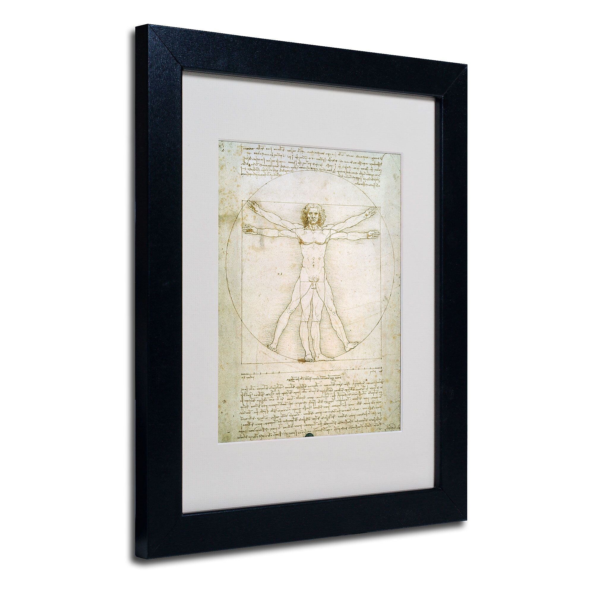 Trademark Fine Art Leonardo da Vinci 'The Proportions of the Human Figure' Matt Black Frame 11 x 14 Inches