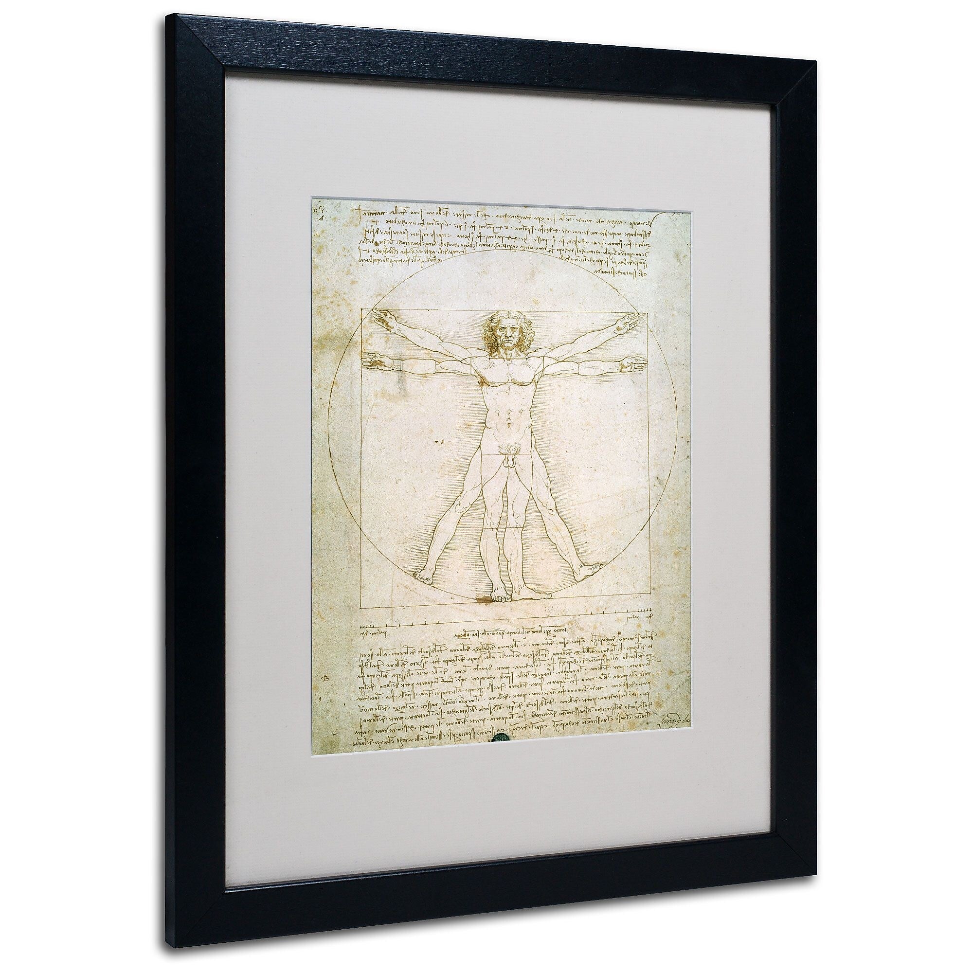 Trademark Fine Art Leonardo da Vinci 'The Proportions of the Human Figure' Matt Black Frame 16 x 20 Inches