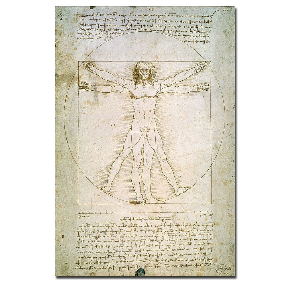 Trademark Fine Art Leonardo da Vinci 'The Proportions of the Human Figure' Art 22 x 32 Inches