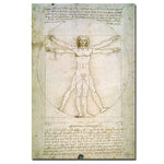 Trademark Fine Art Leonardo da Vinci 'The Proportions of the Human Figure' Art 22 x 32 Inches