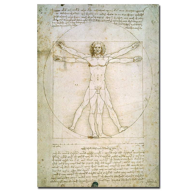 Trademark Fine Art Leonardo da Vinci 'The Proportions of the Human Figure' Art 22 x 32 Inches