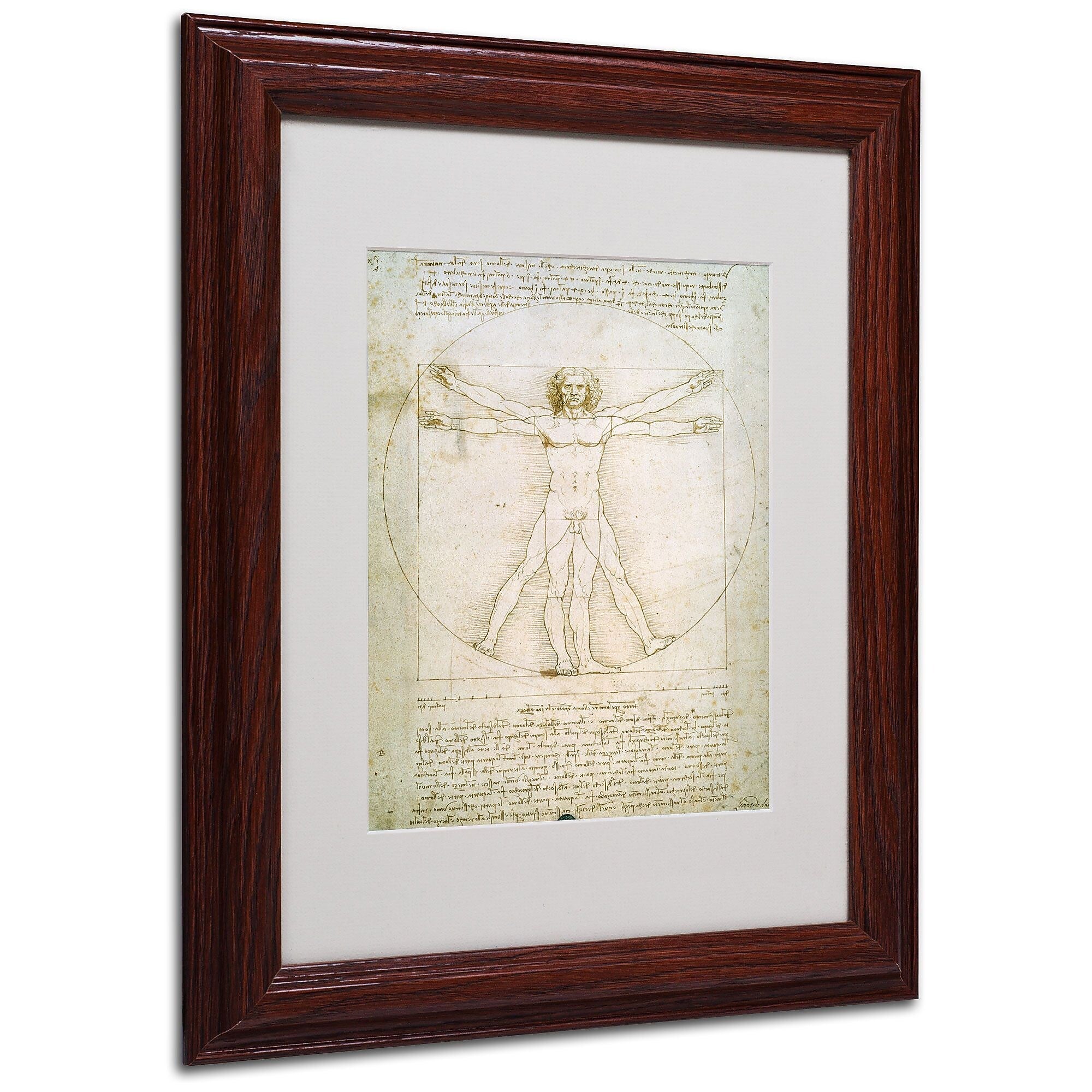 Leonardo da Vinci 'The Proportions of the Human Figure' Matt - 11 x 14 Inches - Wood Frame
