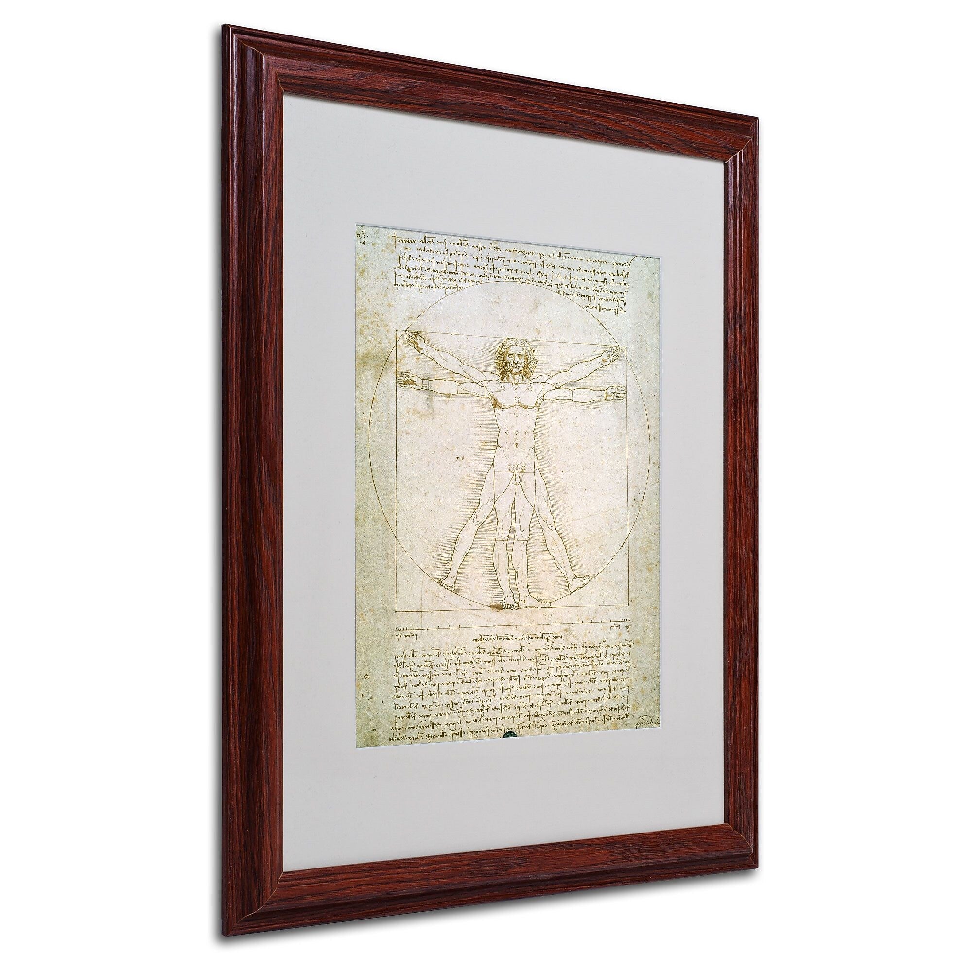 Leonardo da Vinci 'The Proportions of the Human Figure' Matt - 16 x 20 Inches - Wood Frame