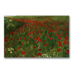 Trademark Fine Art Pal Szinyei Merse 'The Poppy Feild 1896' Canvas Art 18x32 Inches