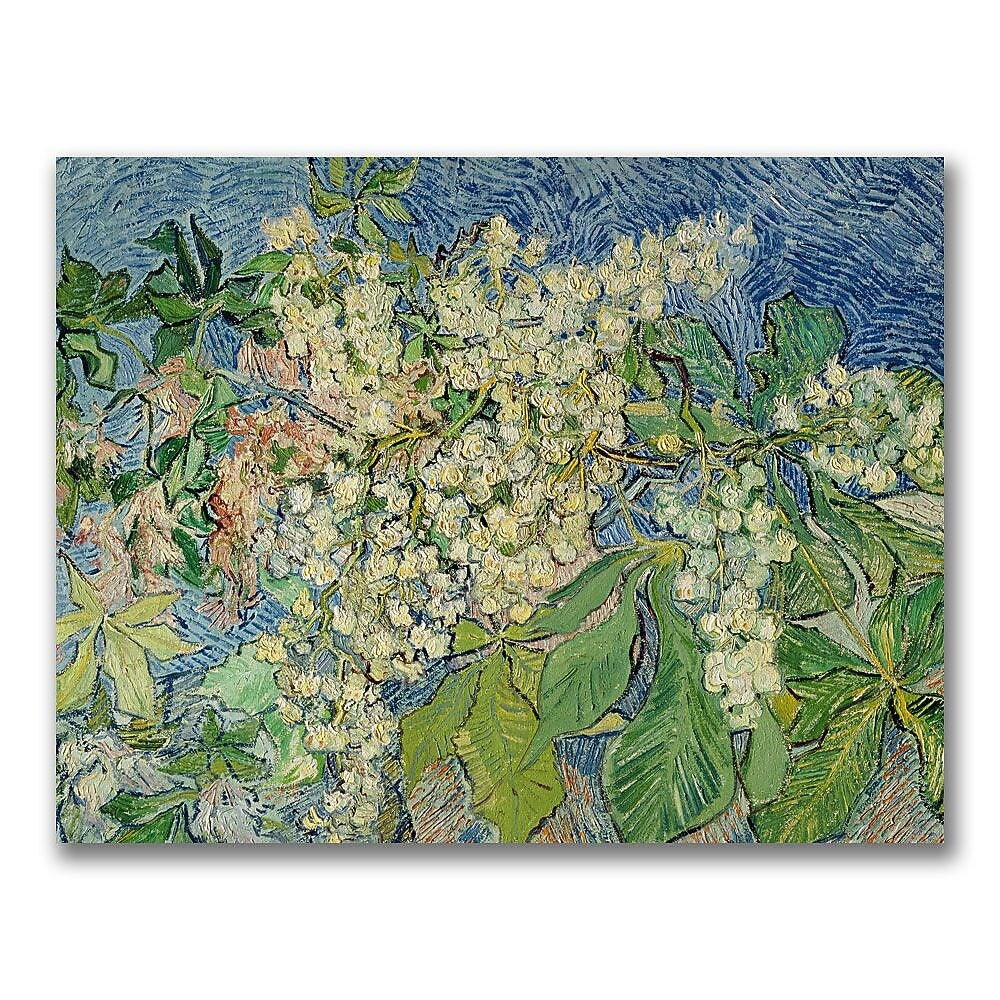 Trademark Fine Art Vincent Van Gogh 'Blossoming Chestnut Branches' Canvas Art