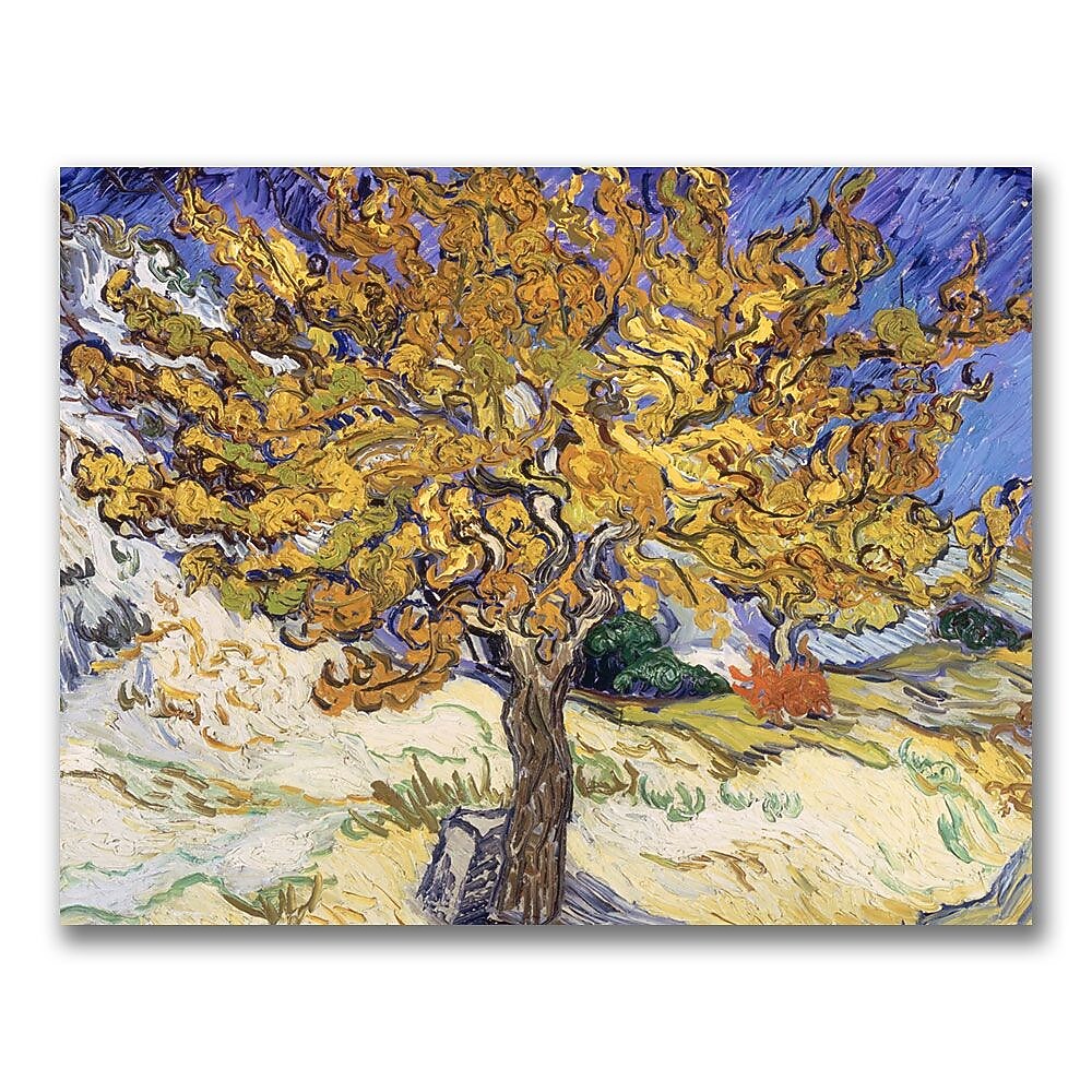 Trademark Fine Art Vincent Van Gogh 'Mulberry Tree 1889' Canvas Art