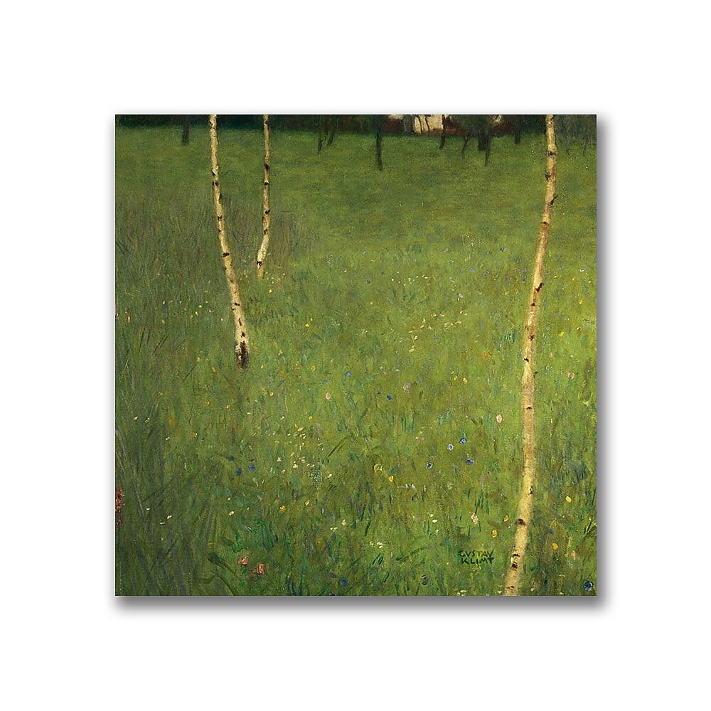 Trademark Fine Art Gustav Klimt 'Farmhouse with Birch Trees' Canvas Art