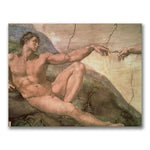 Trademark Fine Art Michelangelo 'The Creation of Adam' Canvas Art