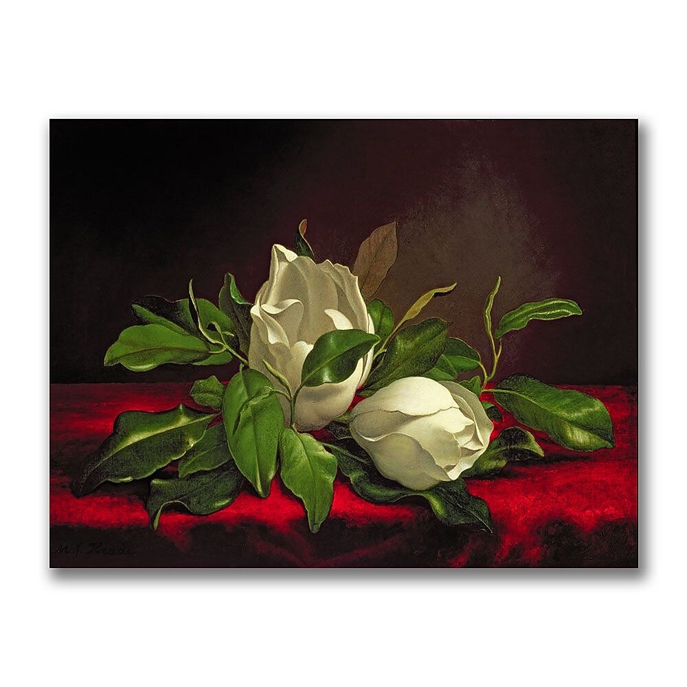 Trademark Fine Art Martin Heade 'Magnolia' Canvas Art