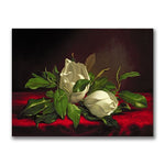 Trademark Fine Art Martin Heade 'Magnolia' Canvas Art