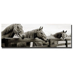 Trademark Fine Art Briland Three by Preston-Ready to Hang Art 8x24 (844296065608)