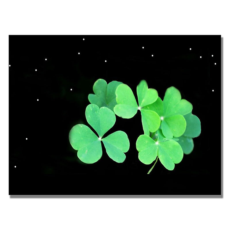 Trademark Fine Art Kathie McCurdy 'Clover' Canvas Art
