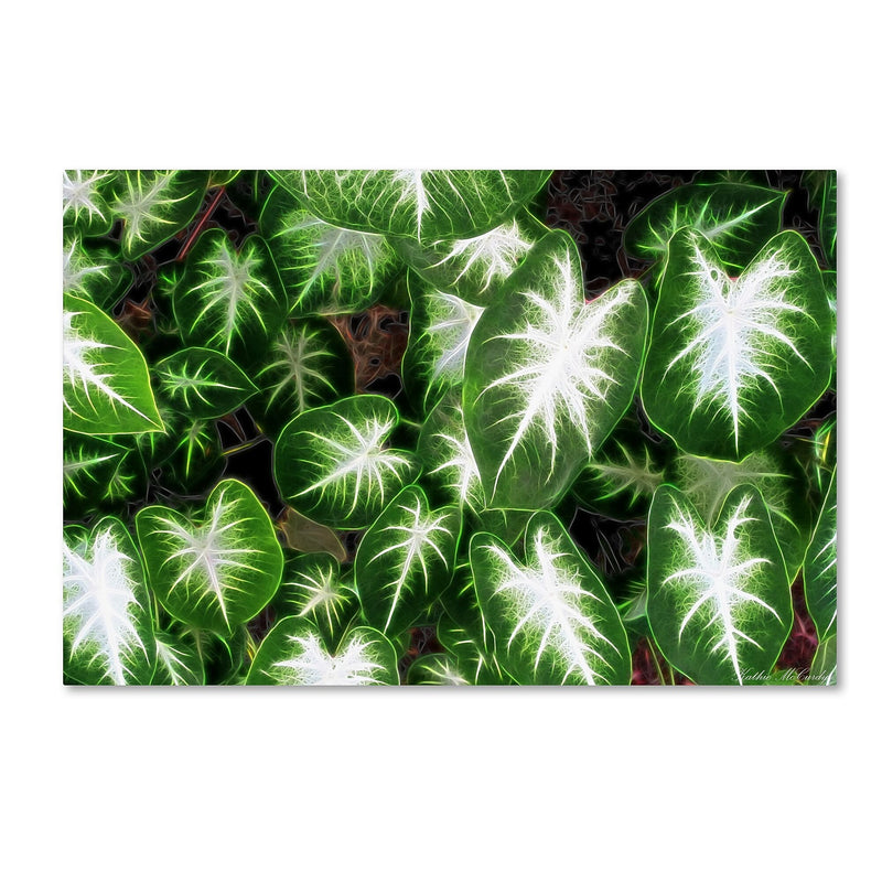 Trademark Fine Art Kathie McCurdy 'Hawaiian Garden II' Canvas Art
