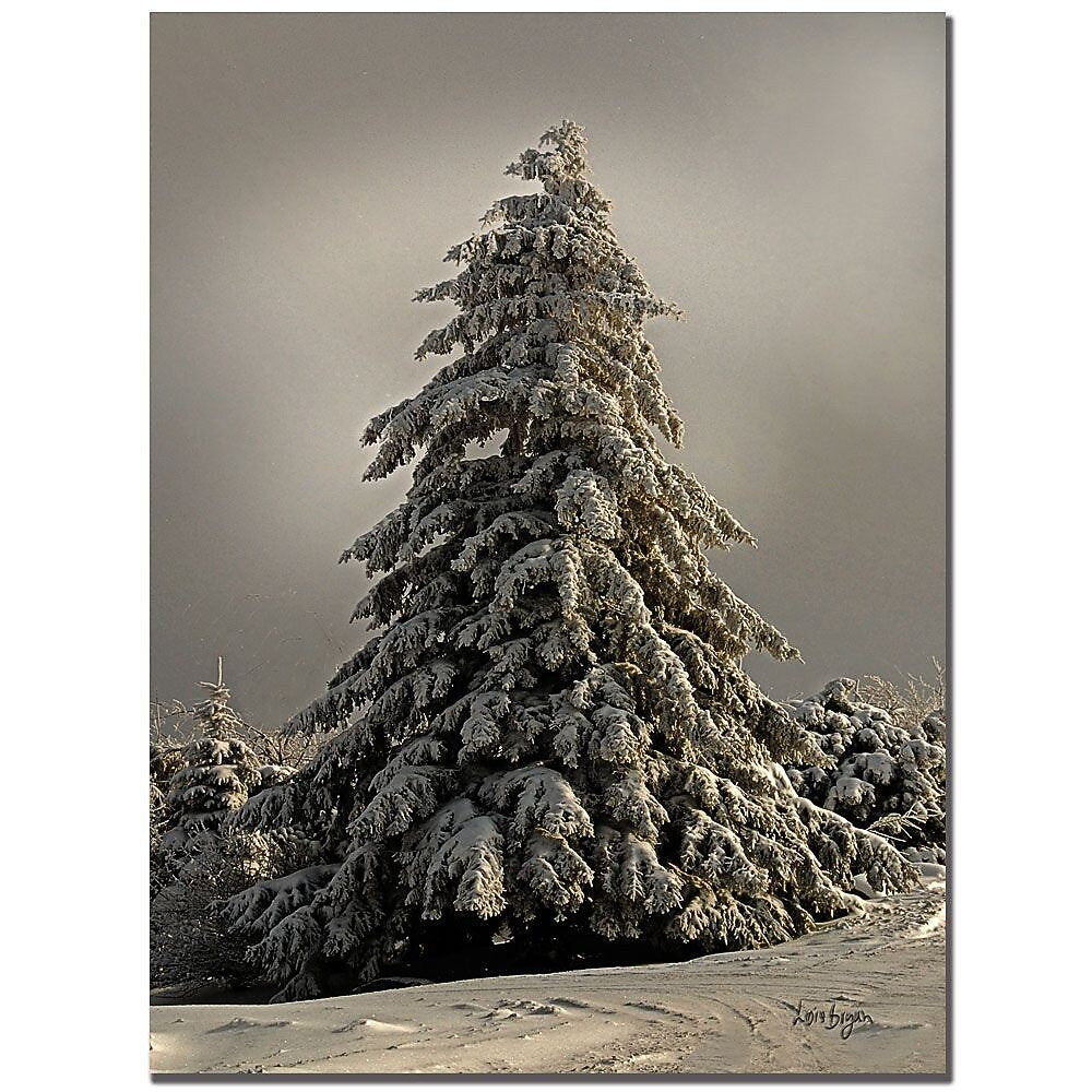 Trademark Fine Art Lois Bryan 'Tifted Titmous in Winter' Canvas Art