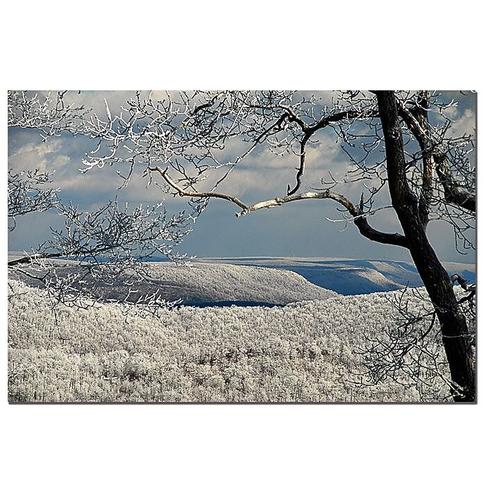 Trademark Fine Art Winter Scene by Lois Bryan-Canvas Ready to Hang 16x24 Inches
