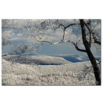 Trademark Fine Art Lois Bryan 'Winter Scene' Canvas Art Ready to Hang 18x24 Inches