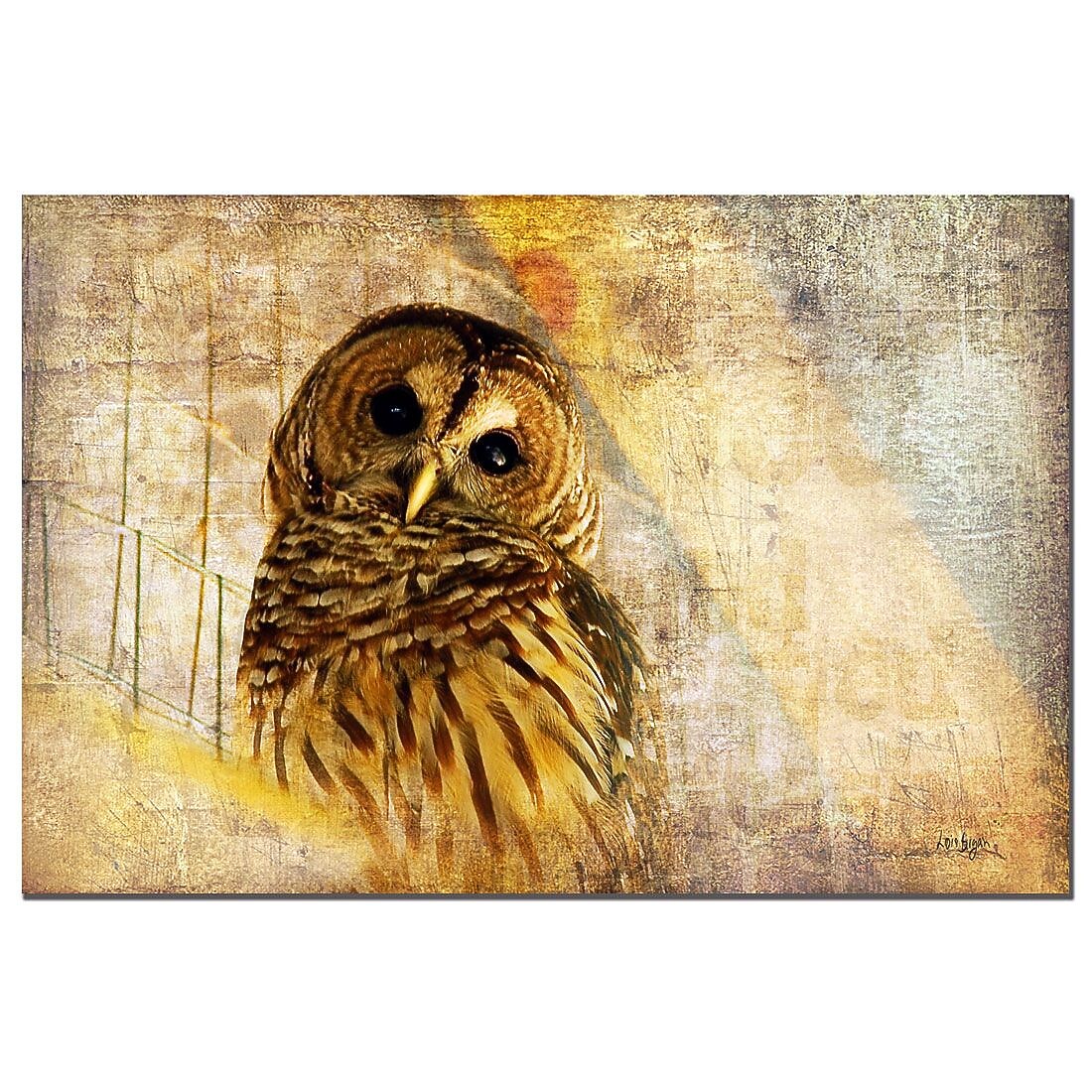 Trademark Fine Art Lois Bryan 'Barred Owl' Canvas Art  Ready to Hang 22x32 Inches
