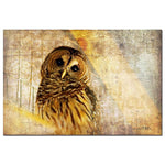 Trademark Fine Art Lois Bryan 'Barred Owl' Canvas Art  Ready to Hang 22x32 Inches