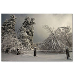 Trademark Fine Art Winter Scene II by Lois Bryan-Canvas Ready to Hang 16x24 Inches