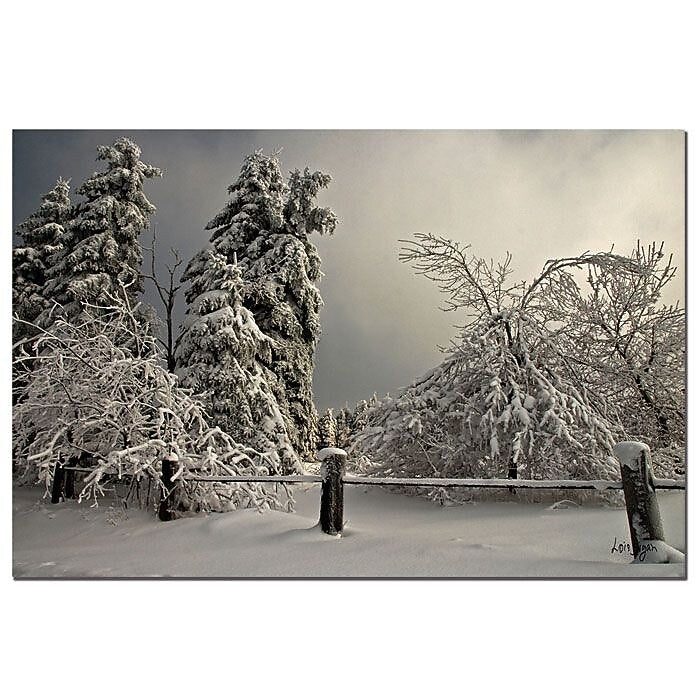 Trademark Fine Art Lois Bryan 'Winter Scene II' Canvas Art 14x19 Inches