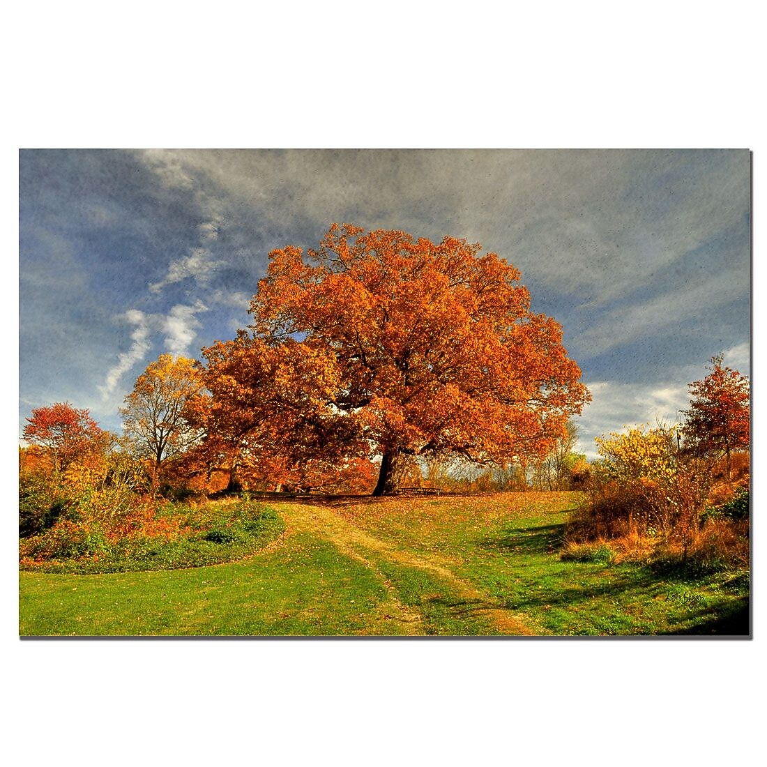 Trademark Fine Art Lois Bryan 'Fall Scene' Canvas Art Ready to Hang 24x32 Inches