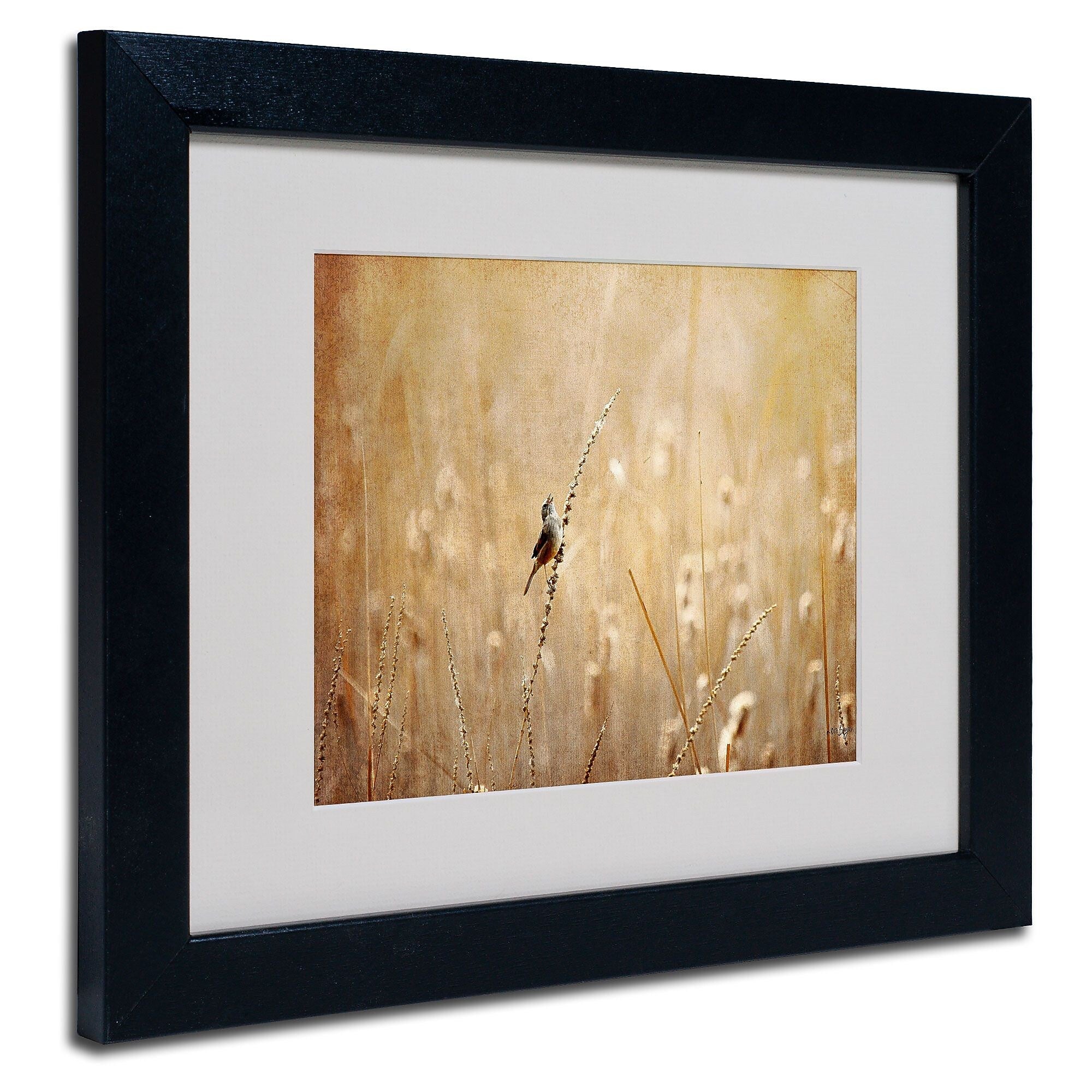 Trademark Fine Art Lois Bryan 'Joyful Joyful All Rejoicing' Matted Art Black Frame 16x20 Inches
