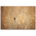 Trademark Fine Art Lois Bryan 'Joyful Joyful All Rejoicing' Canvas Art  22x32 Inches