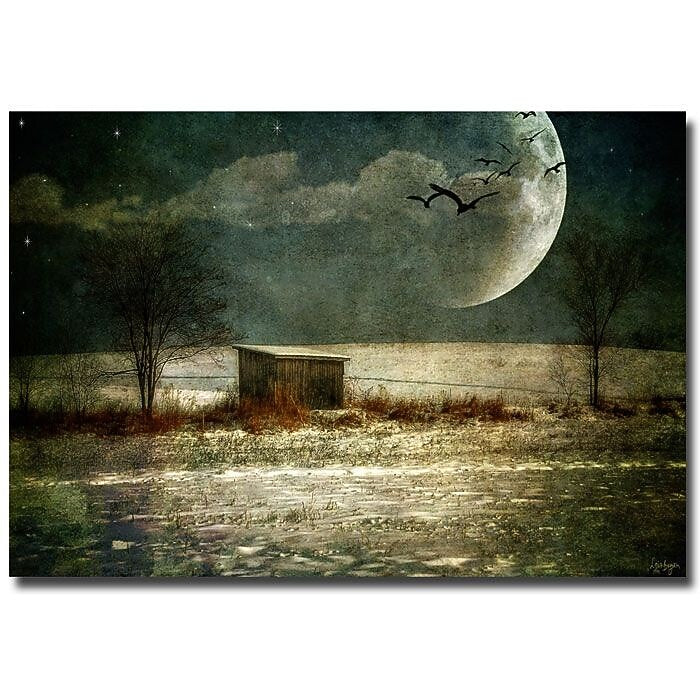 Trademark Fine Art Lois Bryan 'Moonstruck' Canvas Art 30x47 Inches
