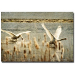 Trademark Fine Art Lois Bryan 'Turf Wars' Canvas Art 14x19 Inches