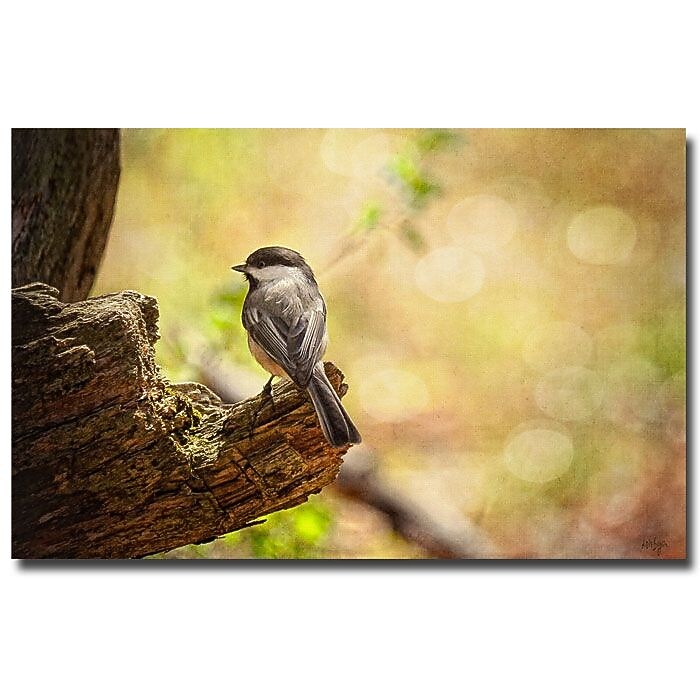 Trademark Fine Art Lois Bryan 'Until Spring' Canvas Art 22x32 Inches