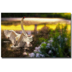 Trademark Fine Art Lois Bryan 'Swan Lake' Canvas Art 14x19 Inches