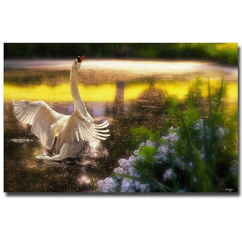 Trademark Fine Art Lois Bryan 'Swan Lake' Canvas Art 14x19 Inches